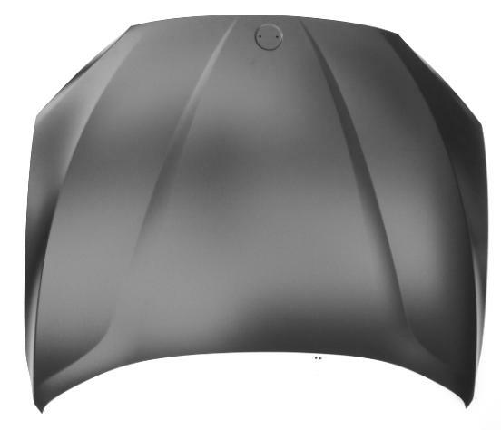 Articolo Y880V - COFANO ANT BMW X5 E70 01/07> X6 E71 01/08>